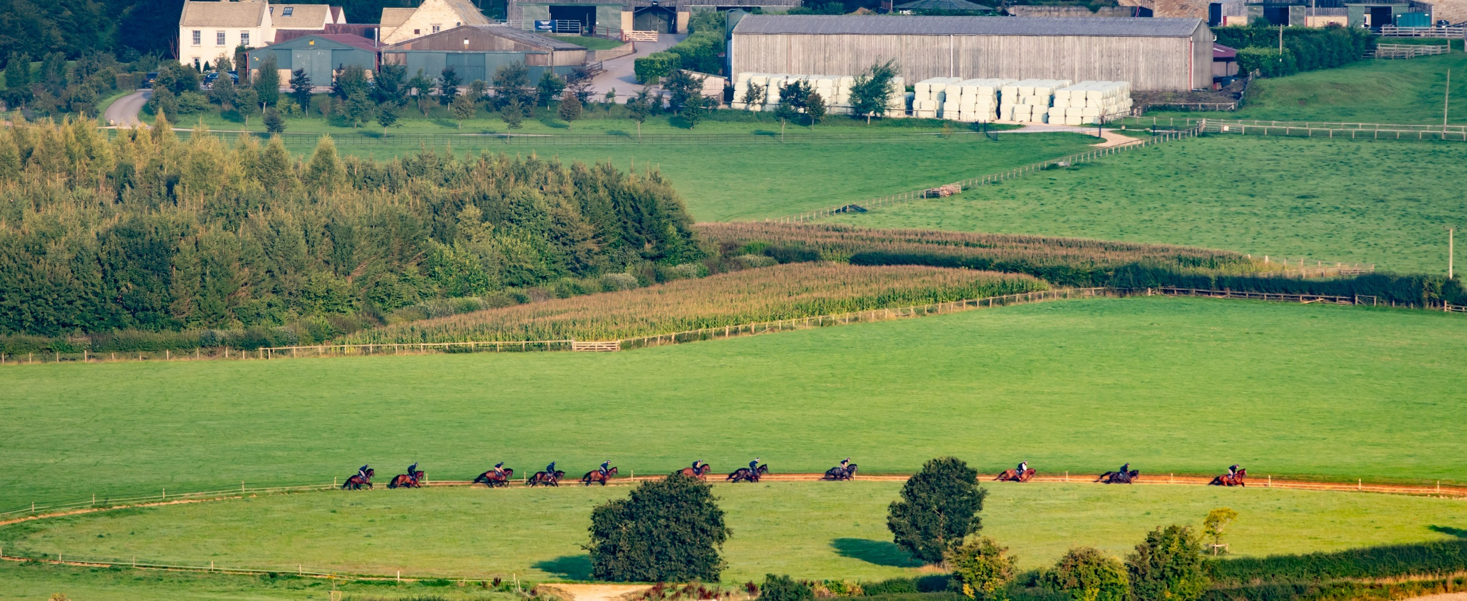 Round Gallop View